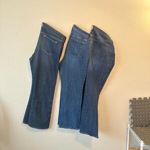 Classic Blue Women's Jeans bundle